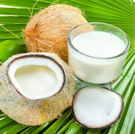 Питательные и косметические свойства кокосового молока | Счастливый ...