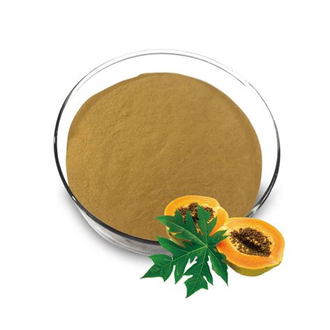 Wholesale Best Papaya Leaf Extract Manufacturer and Supplier, Factory ...