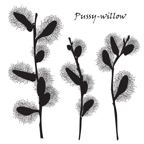 Abstract Texture With Pussy Willow Bouquet Vector Art At Vecteezy