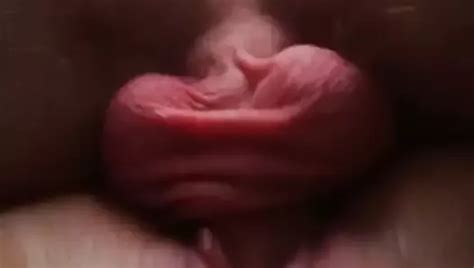 Sex Po Czesc Polish Cunnilingus Amateur Porn Xhamster