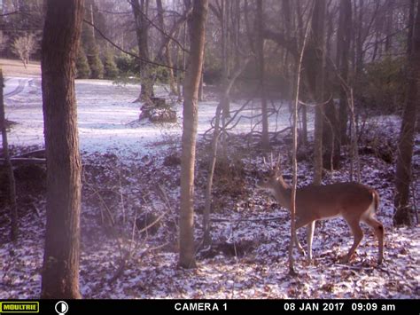 user manual game trail camera  danyel allen blog