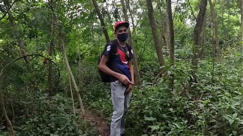 Sexo No Mato Videos XVIDEOS