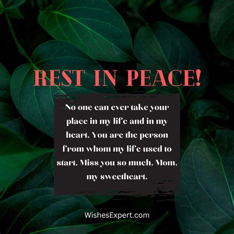 50 Heart Touching 5 Year Death Anniversary Quotes