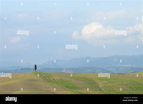 Cypress Lines Hi Res Stock Photography And Images Alamy