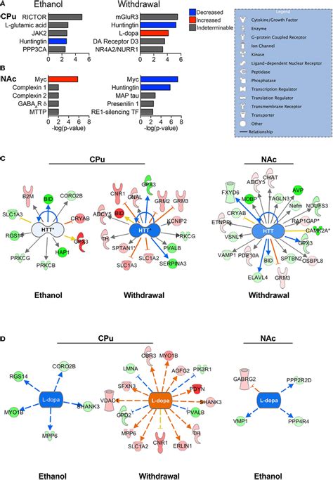 Predicted upstream regulators. The most significant predicted upstream ...