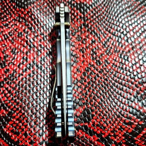 Bladebinge Spartan Harsey Full Size Folder Special Edition Spartan Babe