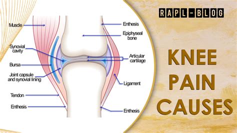 Knee Pain Causes: Tips to Strengthen Healing Process | Ayurveda