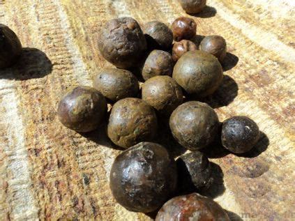 Прополис - Домовик