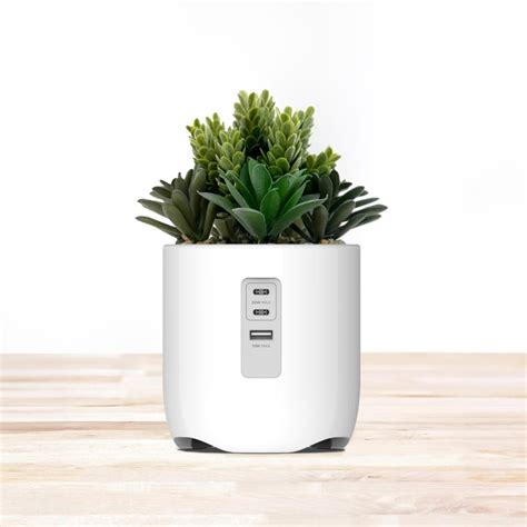 The Power Plant Hammacher Schlemmer