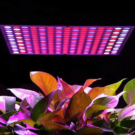 W Smd Led Grow Light With Red Blue Color Indoor Hydroponic