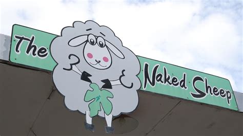 The Naked Sheep Leopold Crafts Store Closes After Almost 20 Years NT News