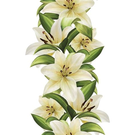 Floral Border White Lily Flowers Seamless Pattern Stock Photo Image