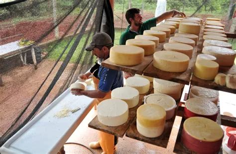 Modo De Preparo Do Queijo Minas Reconhecido Pela Unesco Cultura