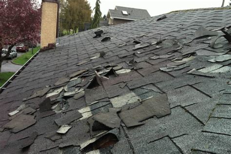 Repairing Vs Replacing Your Roof Storm Damage Florida Independent