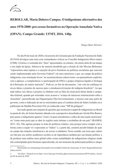 PDF O Indigenismo Alternativo Dos Anos 1970 2000 Processos