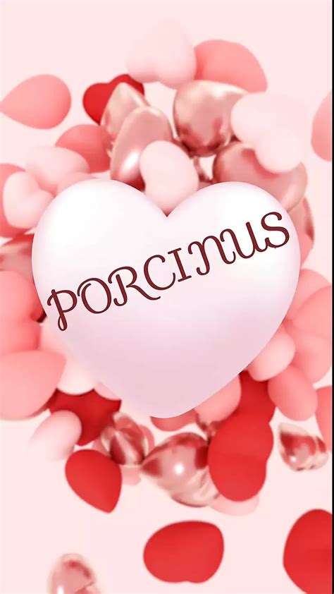 Big Black Dildo Gay Porn Feat Porcinus Xhamster