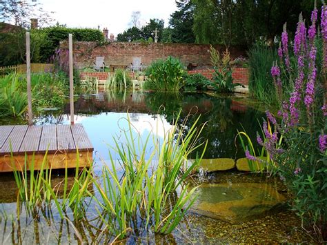 3 Types Of Natural Swimming Ponds