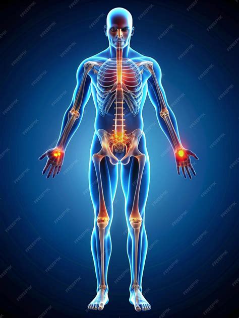 Silhouette of a man showing joints bones Orthopedic pain anatomy Text