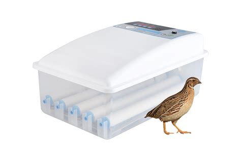 40 Quail Egg Automatic Roller Incubator Dual Voltage Delta Incubators