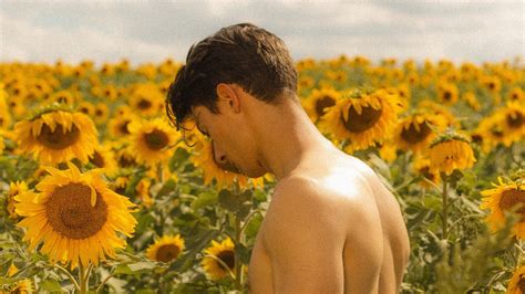 Sunflower 2024 Az Movies