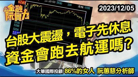 台股大震盪,電子先休息,資金會跑去航運嗎? #阮蕙慈 #阮惠慈 阮蕙慈 金融阮實力 - YouTube