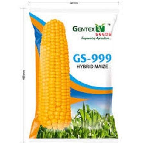 Natural And Organic Gentex Seeds Gs 999 Hybrid Maize 1 Kg Pack