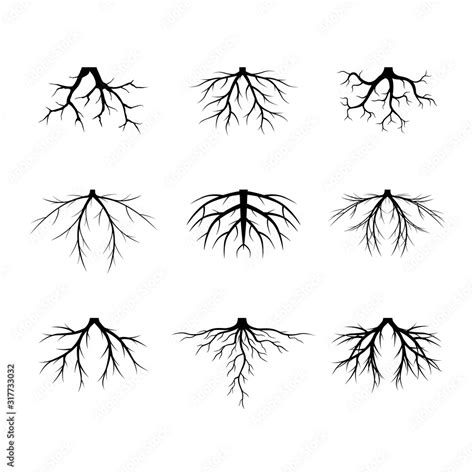 Set Black Naked Plant Roots Vector Illustration Collection Of Icons Stock Vector Adobe Stock