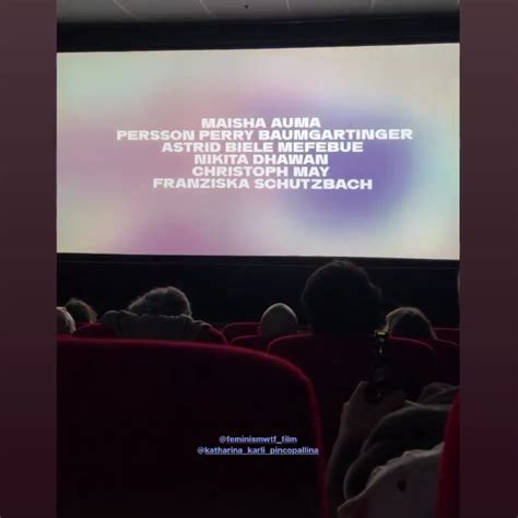 Feminism WTF What The Fuck Dokumentarfilm von Katharina Mückstein Kritische Männerforschung