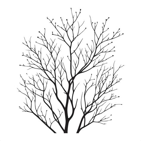 Minimal Autumn Naked Tree Vector Silhouette Vector Art At Vecteezy