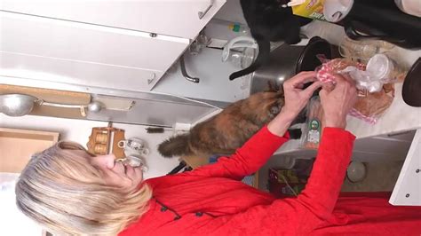 Omahotel Slideshow Granny Sex Compilation Video Amateur Porn XHamster