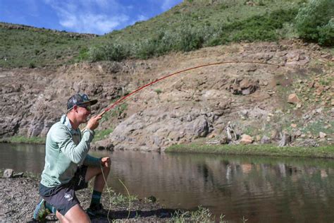 review echo river glass fly rod hatch magazine fly fishing