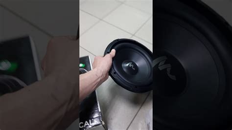 сабовый динамик Focal Auditor RSB-250, RSB-300 - YouTube