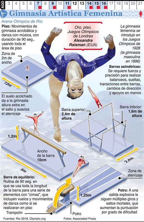 Pin by Maria Reyes on Infografías deportivas | Artistic gymnastics