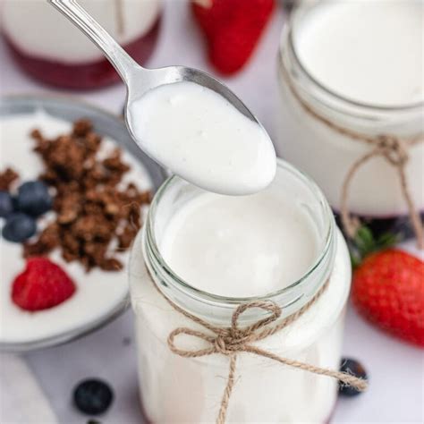 Slow Cooker Yogurt Recipe Dinner Then Dessert