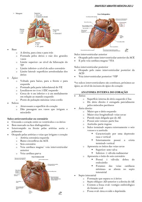 SOLUTION Anatomia Sist Mica Cardio Completo Mod Ii Studypool