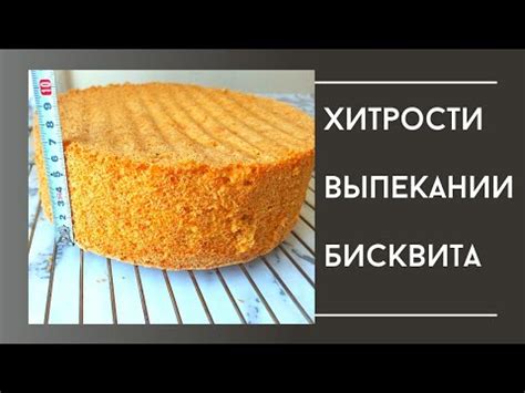 БИСКВИТ КАК ПРИГОТОВИТЬ. ПЫШНЫЙ БИСКВИТ. ИДЕАЛЬНЫЙ БИСКВИТ. - YouTube