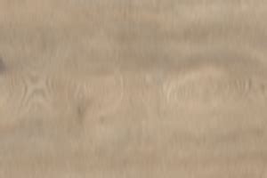 Naked Blond Oak Hybrid Flooring Perth Choices Beyond Limits