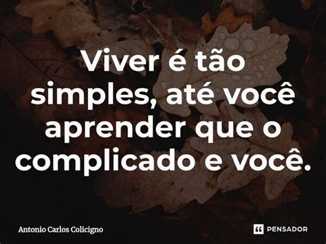 Viver T O Simples At Voc Antonio Carlos Colicigno Pensador