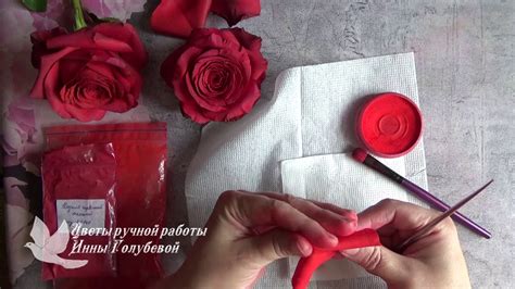 тонировка лепестков красной розы - YouTube