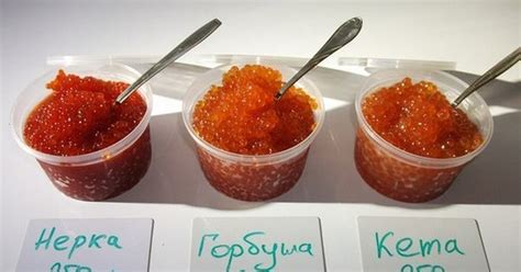 Красная Икра Магазин Навага — Moi-magaz.ru