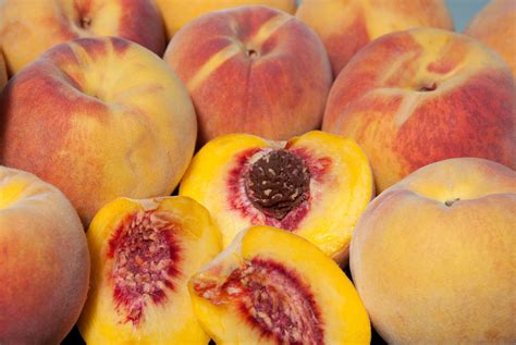 Peach — East Bay Nursery