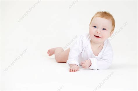 Baby Girl Crawling Stock Image F0088130 Science Photo Library