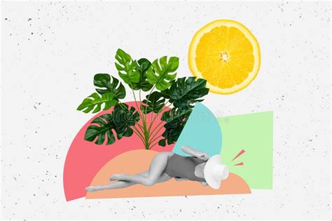 Sexy Bikini Collage Stock Photos Free Royalty Free Stock Photos From Dreamstime