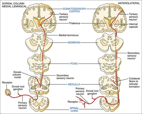 49 Basicmedical Key