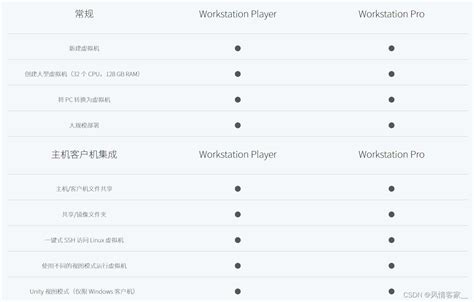 workstation player workstation pro csdn