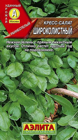 Купить Кресс-салат Широколистный 1г раннеспел в Санкт-Петербурге | Салат