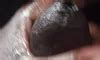 Pulsating Uncircumcised Black Cock Masterbation Gay Porn Feat Thickveins Xhamster