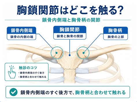 rehabilikun