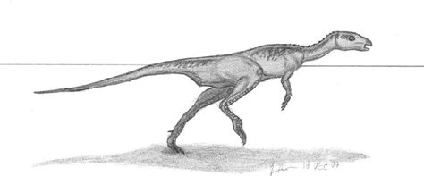 Oryctodromeus Pictures And Facts The Dinosaur Database