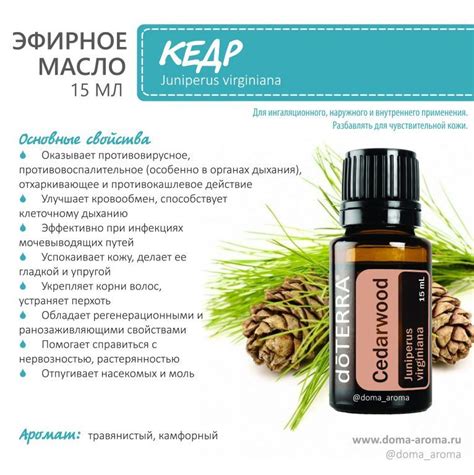Эфирные масла доТЕРРА / doTERRA — Эфирные масла doTERRA в 2021 г ...